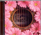  obestämt: MUCC: Gerbera