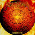 cd: Fleshcrawl: Bloodsoul