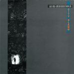 lp: Lars Hug/Søren Ulrik Thomsen: City Slang