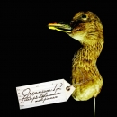 cd: Organism 12: Petar på döda saker med pinnar