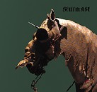 cd: Sturmast: Ibis redibis nunquam in bello peribis