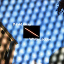  obestämt: David Gray: White ladder