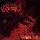  obestämt: Mörk Gryning: Return Fire