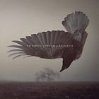 cd: Katatonia: The Fall of Hearts
