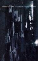 vhs: Fates Warning: A pleasant shade of gray