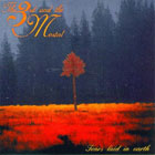 cd: 3rd and the mortal: TEARS LAID IN EARTH