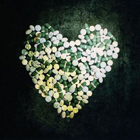 lp: Alkaline Trio: This Addiction