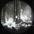 lp: Den Sorte Død: Undergangen