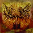 cd-box: A Forest of Stars: A Shadowplay for Yesterdays