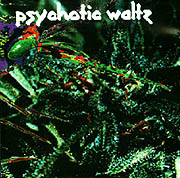 cd: Psychotic waltz: Mosquito