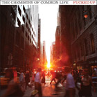 2lp gatefold: Fucked Up: The Chemistry Of Common Life