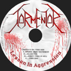 cd-singel: Tormentor: Lesson in Aggression