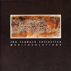 cd: Iceburn: Meditavolutions