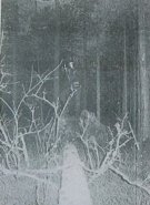 mc: Mortiis: The song of a long forgotten ghost