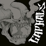 cd: VA: gaphals sampler