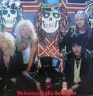 2lp: Guns n' Roses: Welcome To The Sessions