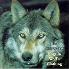 cd-r: Groundhogs: Hogs In Wolf's Clothing