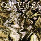 mc: Convulse: Reflections