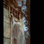 lp: Dead Can Dance: Within The Realm Of A Dying Sun