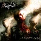 cd: Ebony Lake: In Swathes of Brooding Light