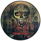 pic lp: Slayer: Seasons In The Abyss
