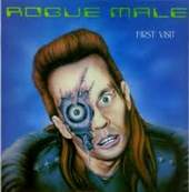 lp: Rogue male: First visit